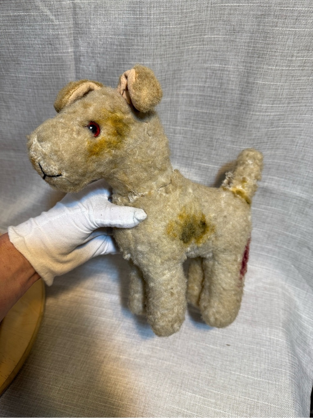 Steiff Dog Foxy Antique Toy Vintage dog 1950-60s Rare Сollectible